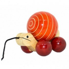 Wooden Turtle Pulling Toy for Kids